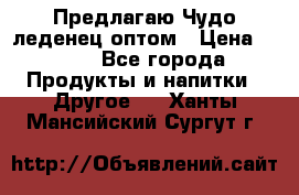 Предлагаю Чудо леденец оптом › Цена ­ 200 - Все города Продукты и напитки » Другое   . Ханты-Мансийский,Сургут г.